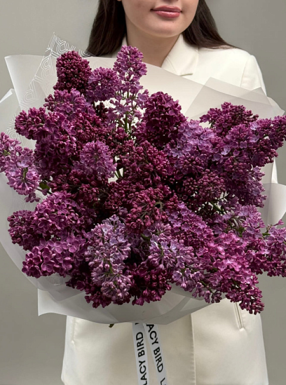 Монобукет из сирени