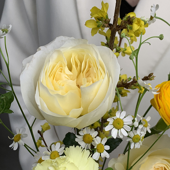 Весенний комплимент 