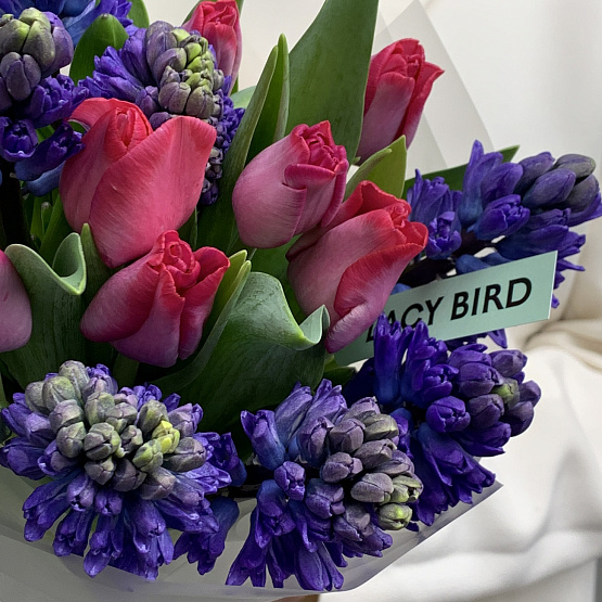 Сияние космоса