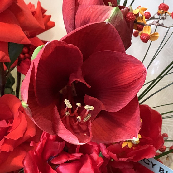 Красные зори