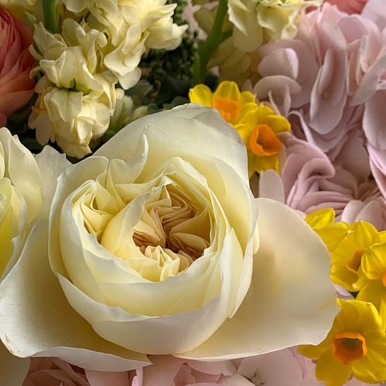 Лучистая весна