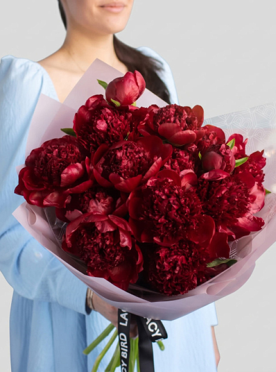 Пионы «Red Charm»