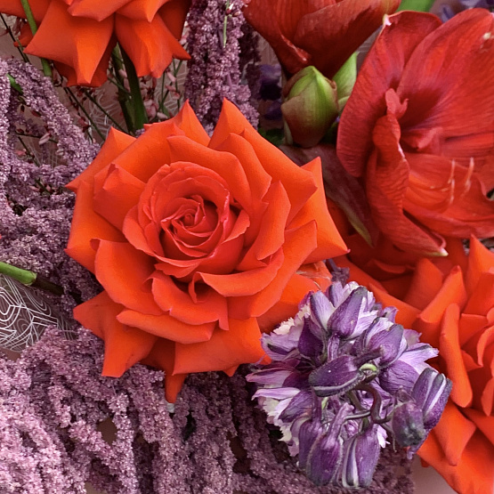 Поцелуй Афины