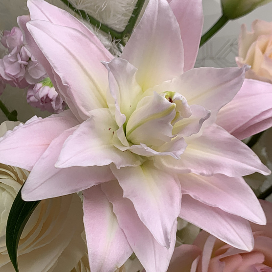 Вдохновляющая мечта