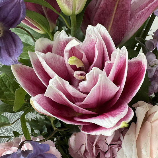 Объятие сумерек 