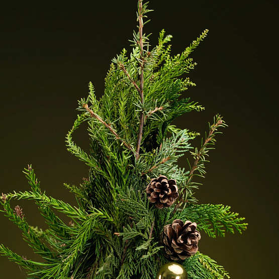 Ёлка «Тайны леса» M