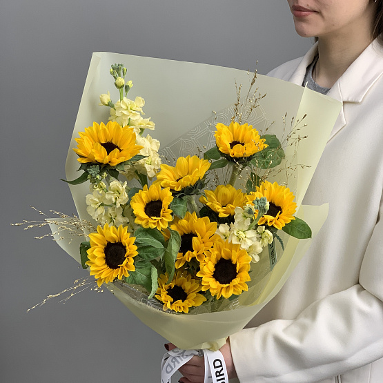 The moment of the sun