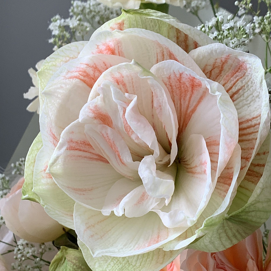 Ванильная панна-кота 