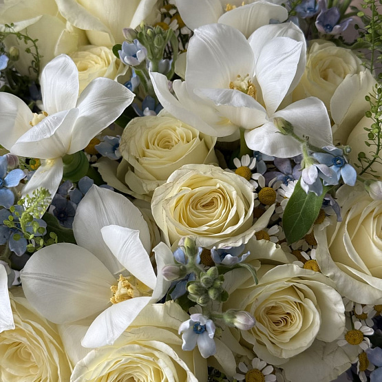 Bouquet of lace