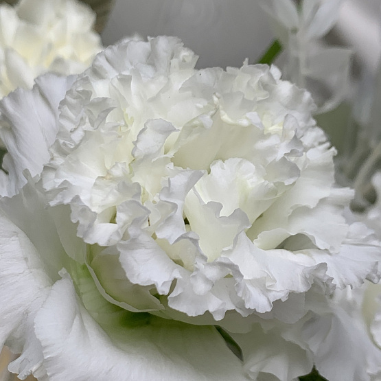 Воспоминания о лете 