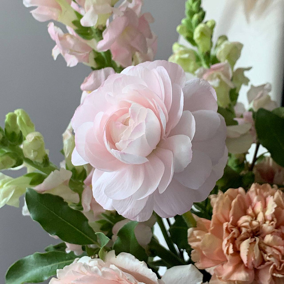 The gentle dawn