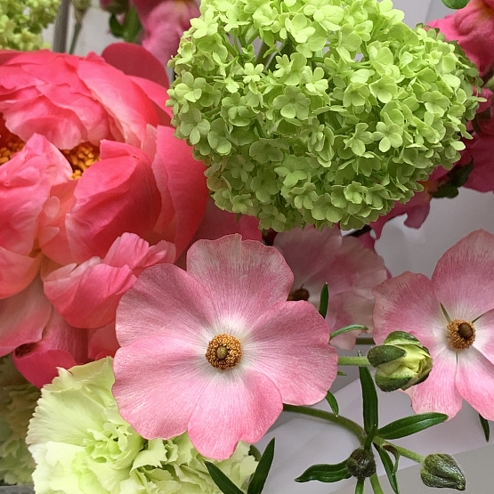 Весенние краски 