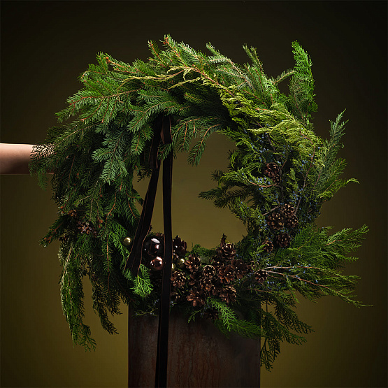 Сет №5 «Тайны леса»