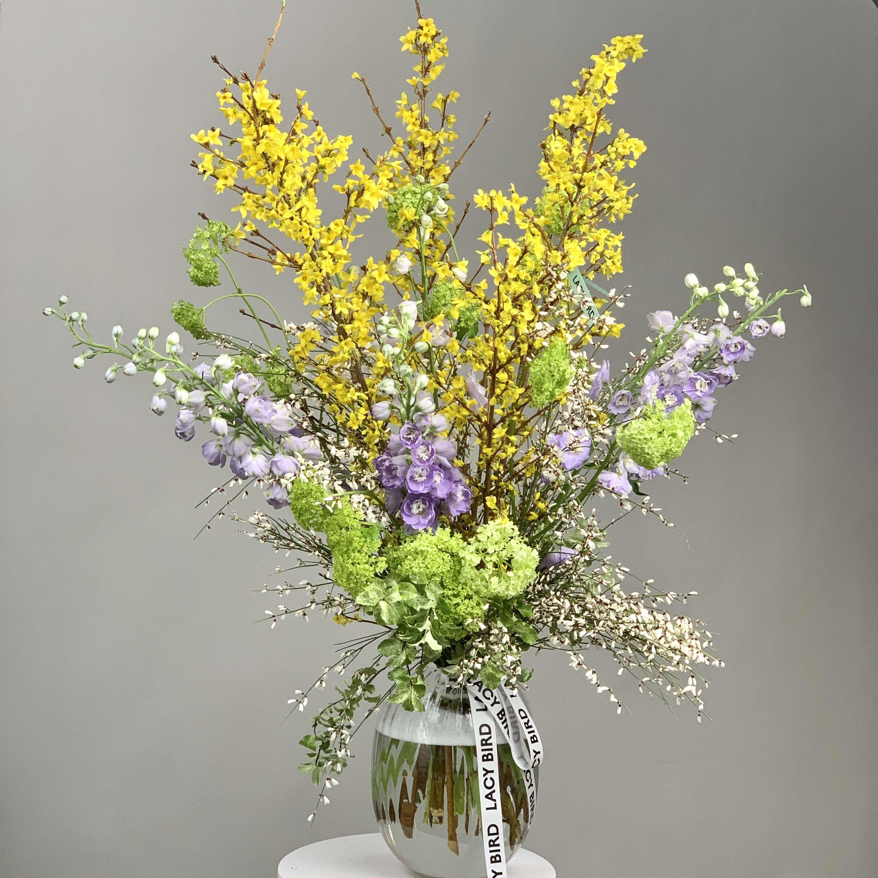 Полёт весны