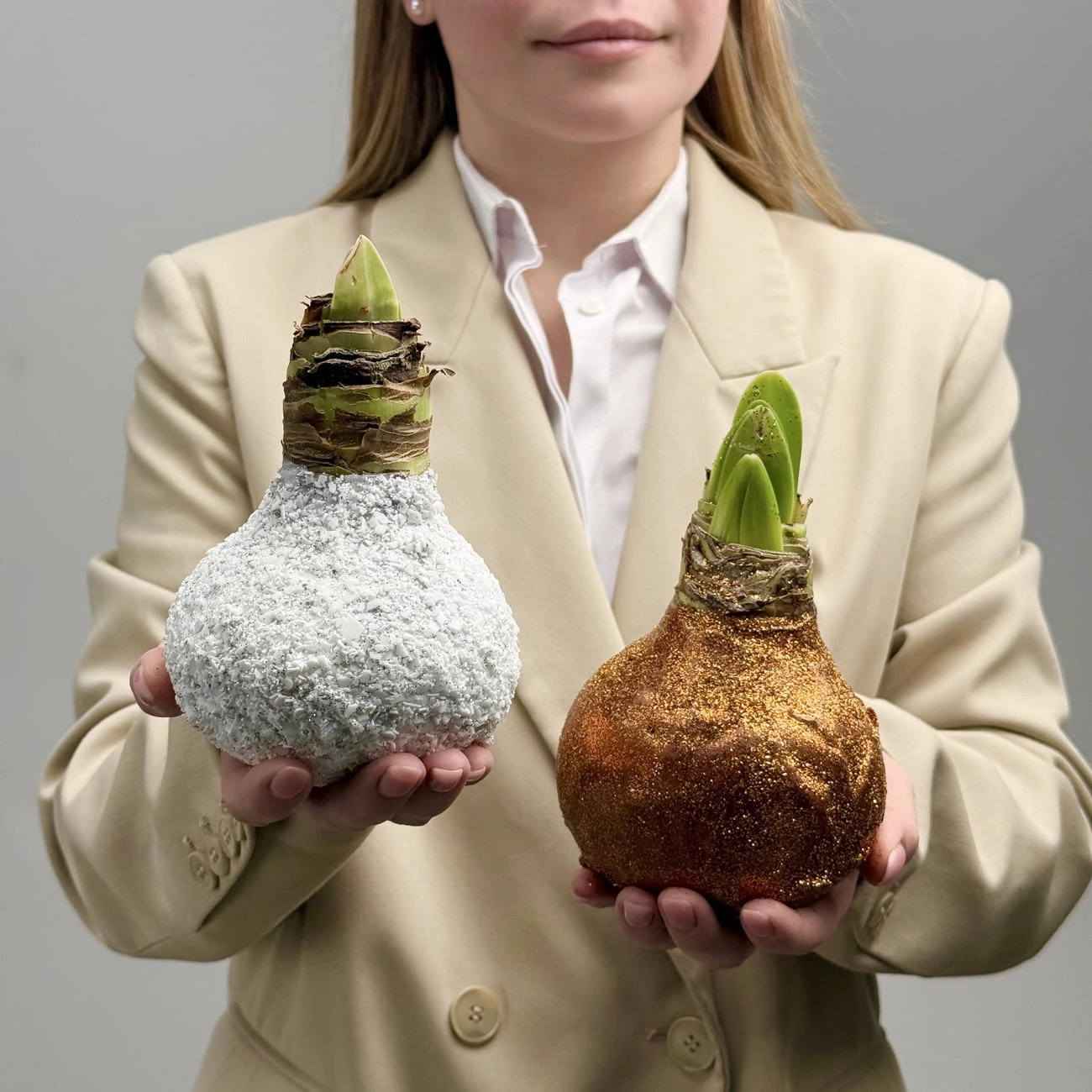 Амариллис в воске