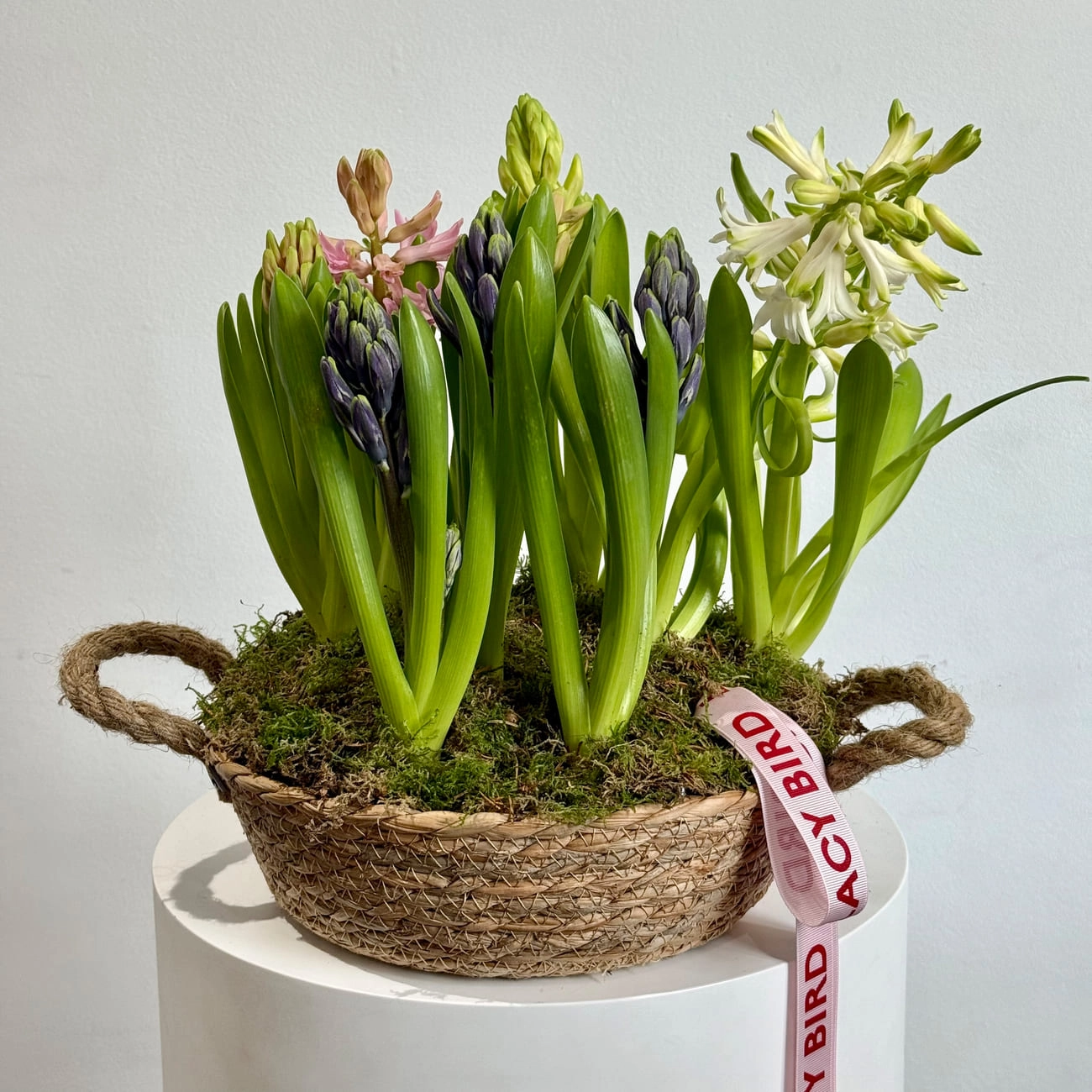 Корзина с гиацинтами