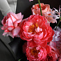 “Flamingo” Signature Bouquet