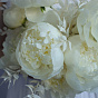 “Nubilous” Bridal Bouquet
