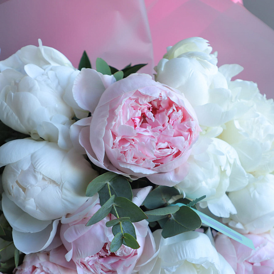“Poplar Fluff” Mono Bouquet