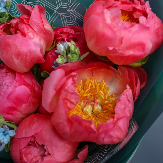 Peonies “Coral Charm” and Oxypetalum Bouquet
