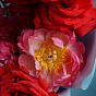 Roses and Peonies “Coral Charm” Duo Bouquet